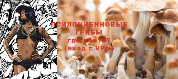 соль ск Алексин