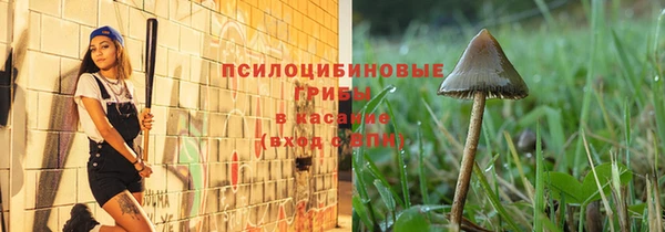 амф Алзамай