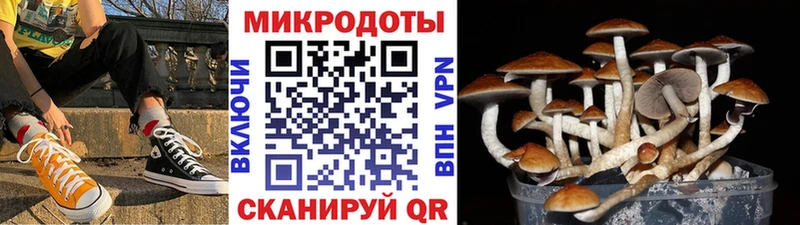 Псилоцибиновые грибы Cubensis  что такое   Самара 