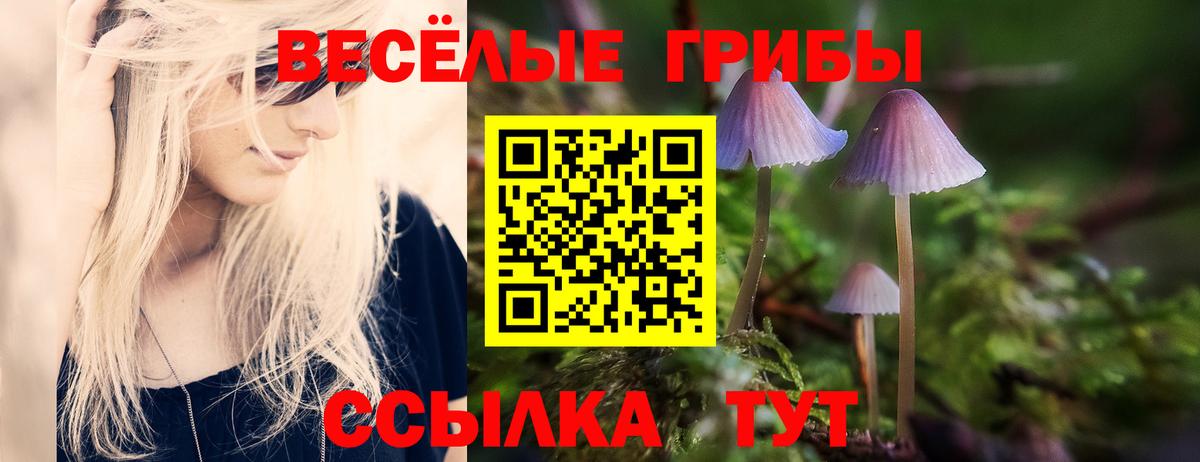Псилоцибиновые грибы Psilocybe  Вход с VPN  даркнет сайт  Галлюциногенные грибы GOLDEN TEACHER  Самара 